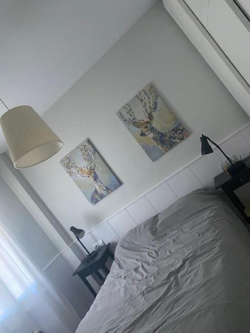 Apartamentos Rio Marinas 15 Playazo Beach ネルハ エクステリア 写真